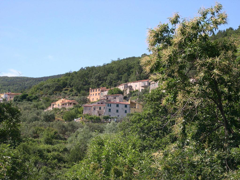 B&B Nelly G Carbuta Exterior photo