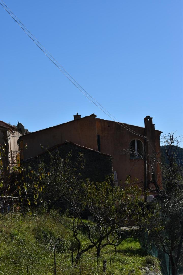 B&B Nelly G Carbuta Exterior photo